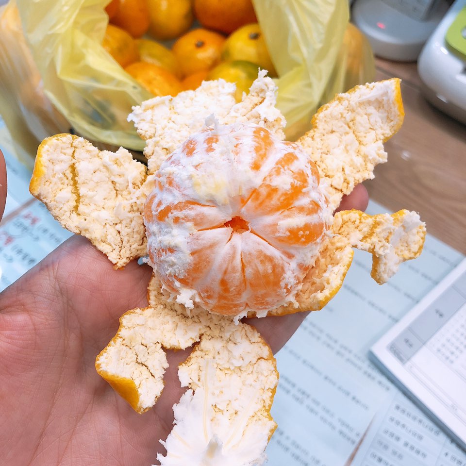 이수한의원 건강 칼럼 이미지