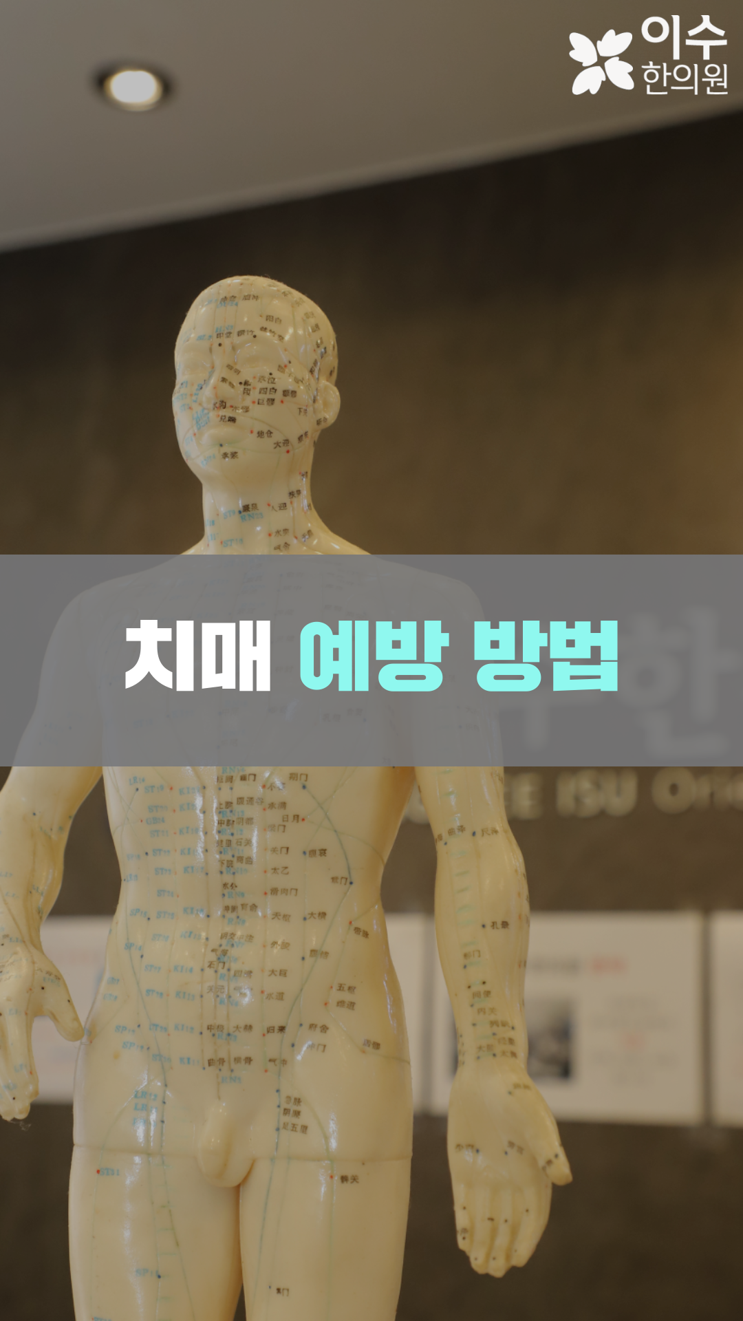 이수한의원 건강 칼럼 이미지