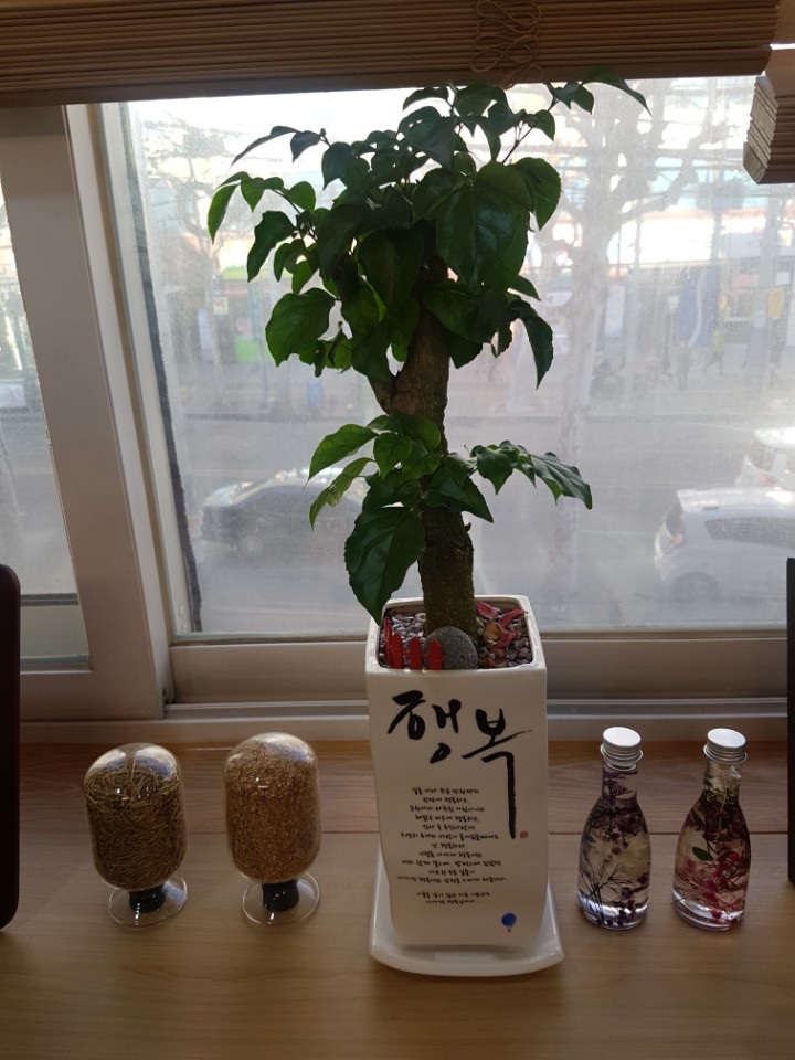 이수한의원 건강 칼럼 이미지