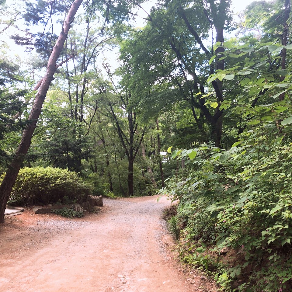 이수한의원 건강 칼럼 이미지