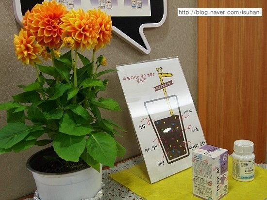 이수한의원 건강 칼럼 이미지