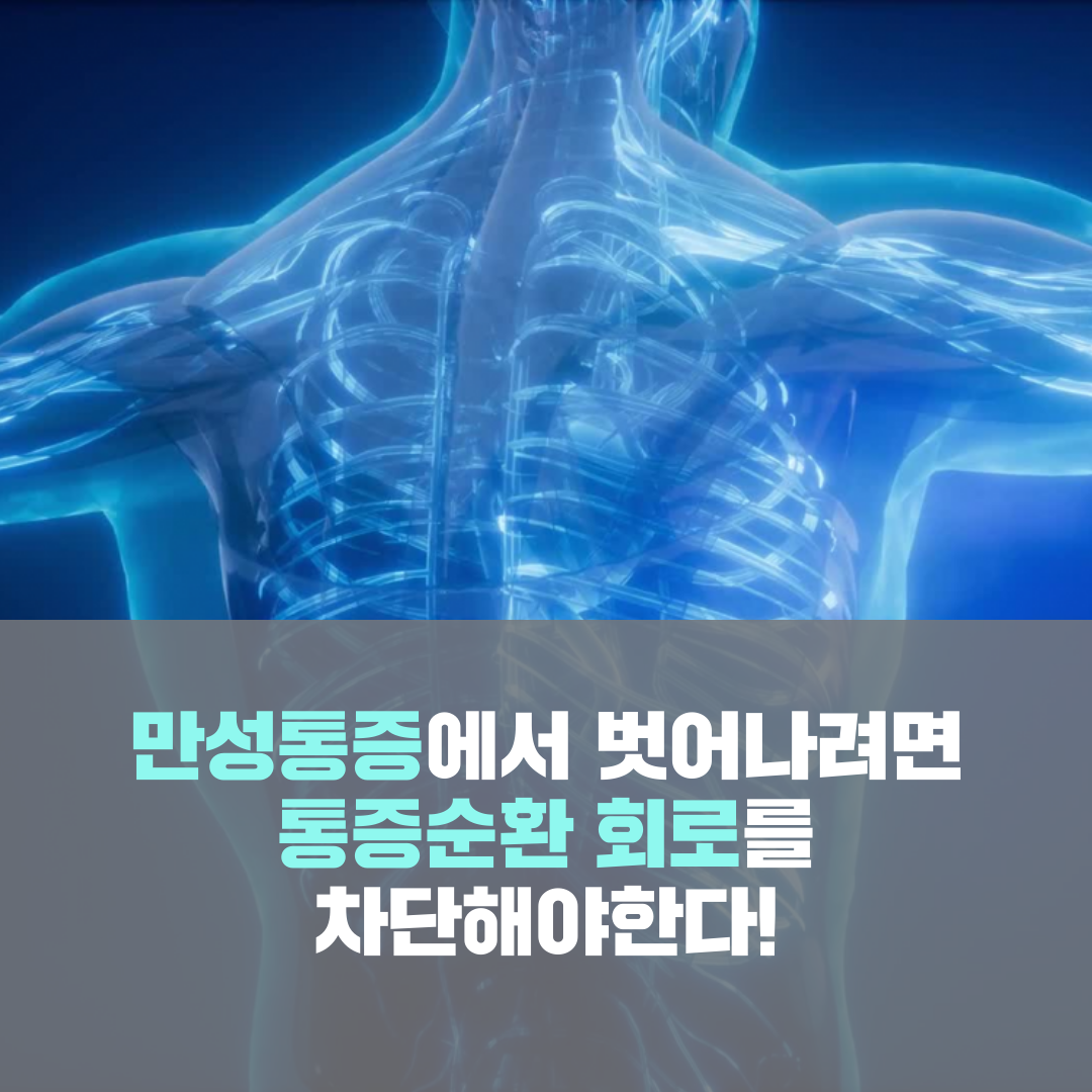 이수한의원 건강 칼럼 이미지