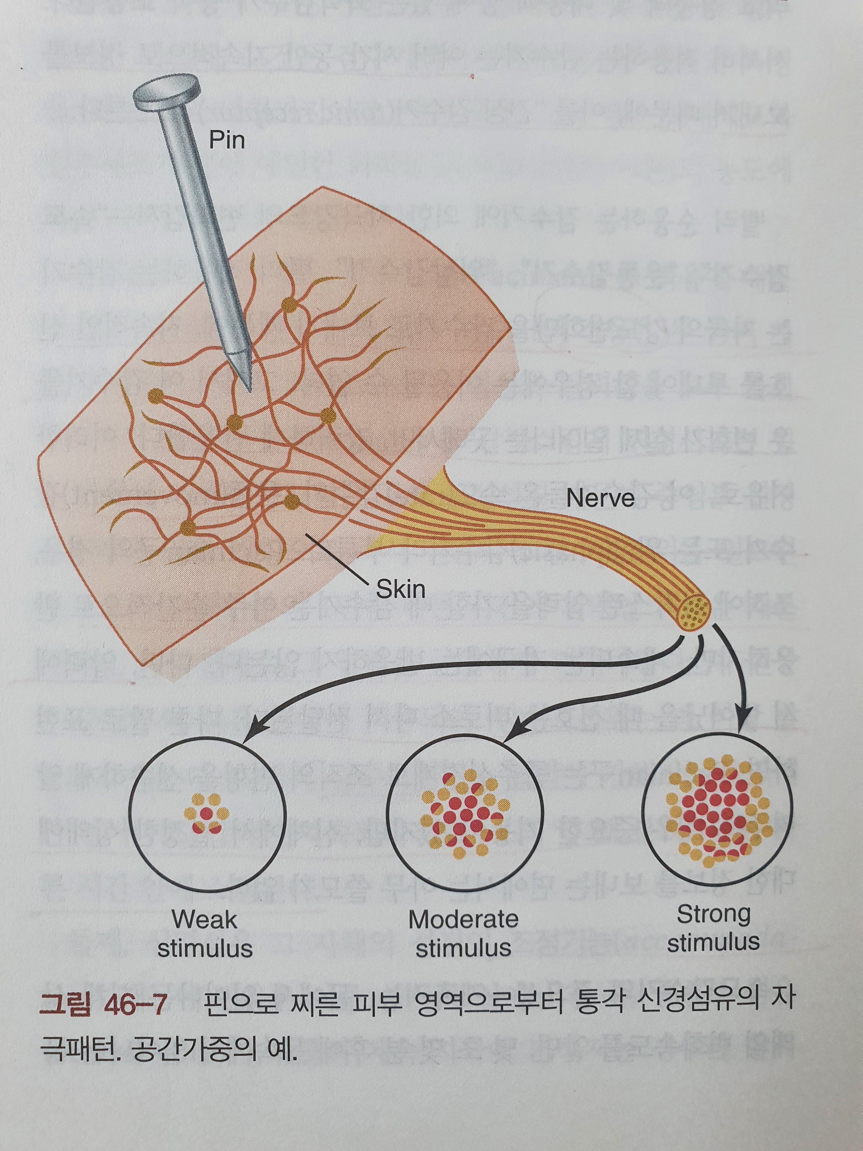이수한의원 건강 칼럼 이미지