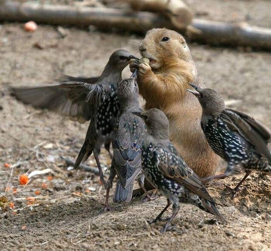 이수한의원 건강 칼럼 이미지