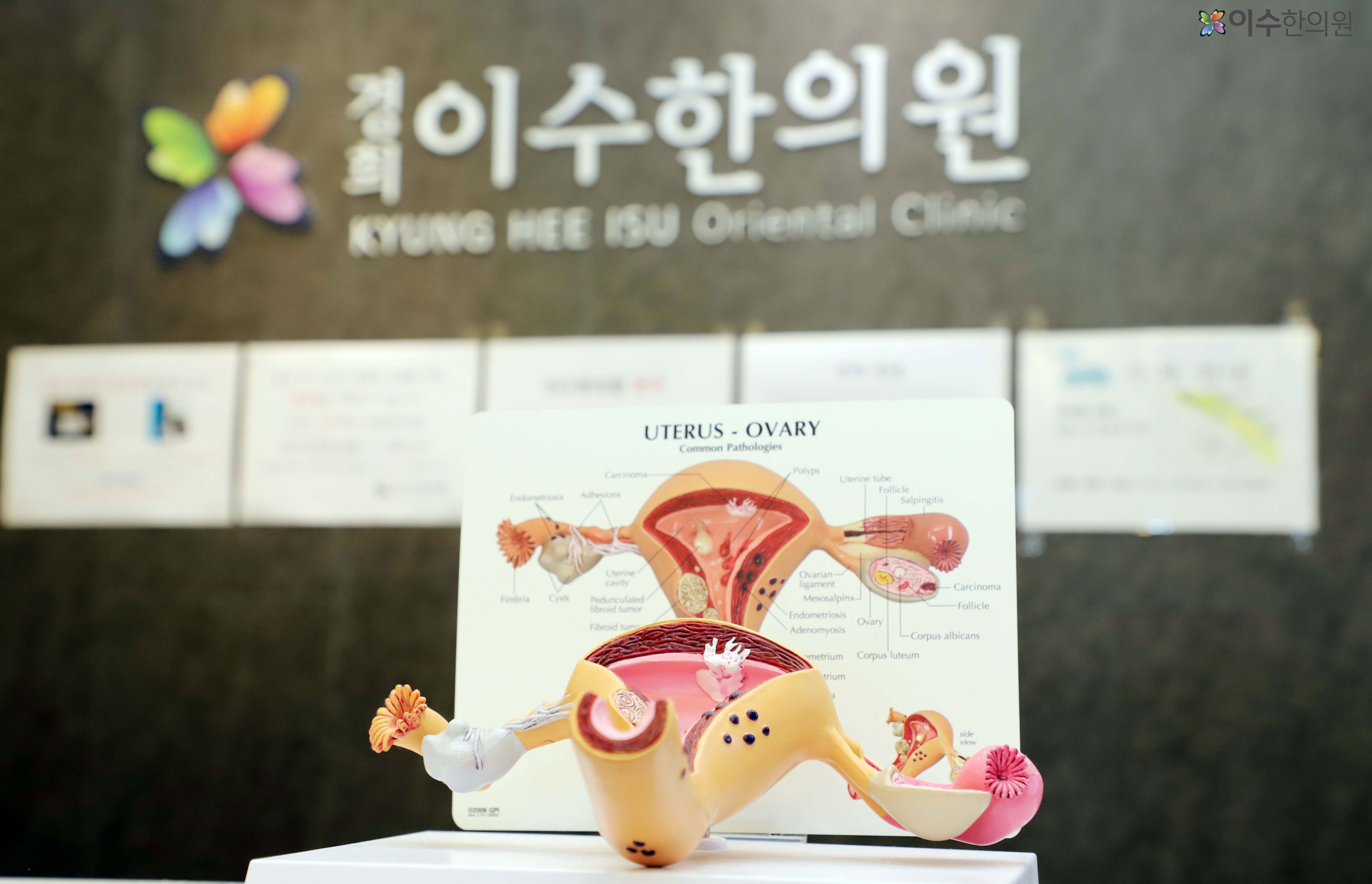 이수한의원 건강 칼럼 이미지