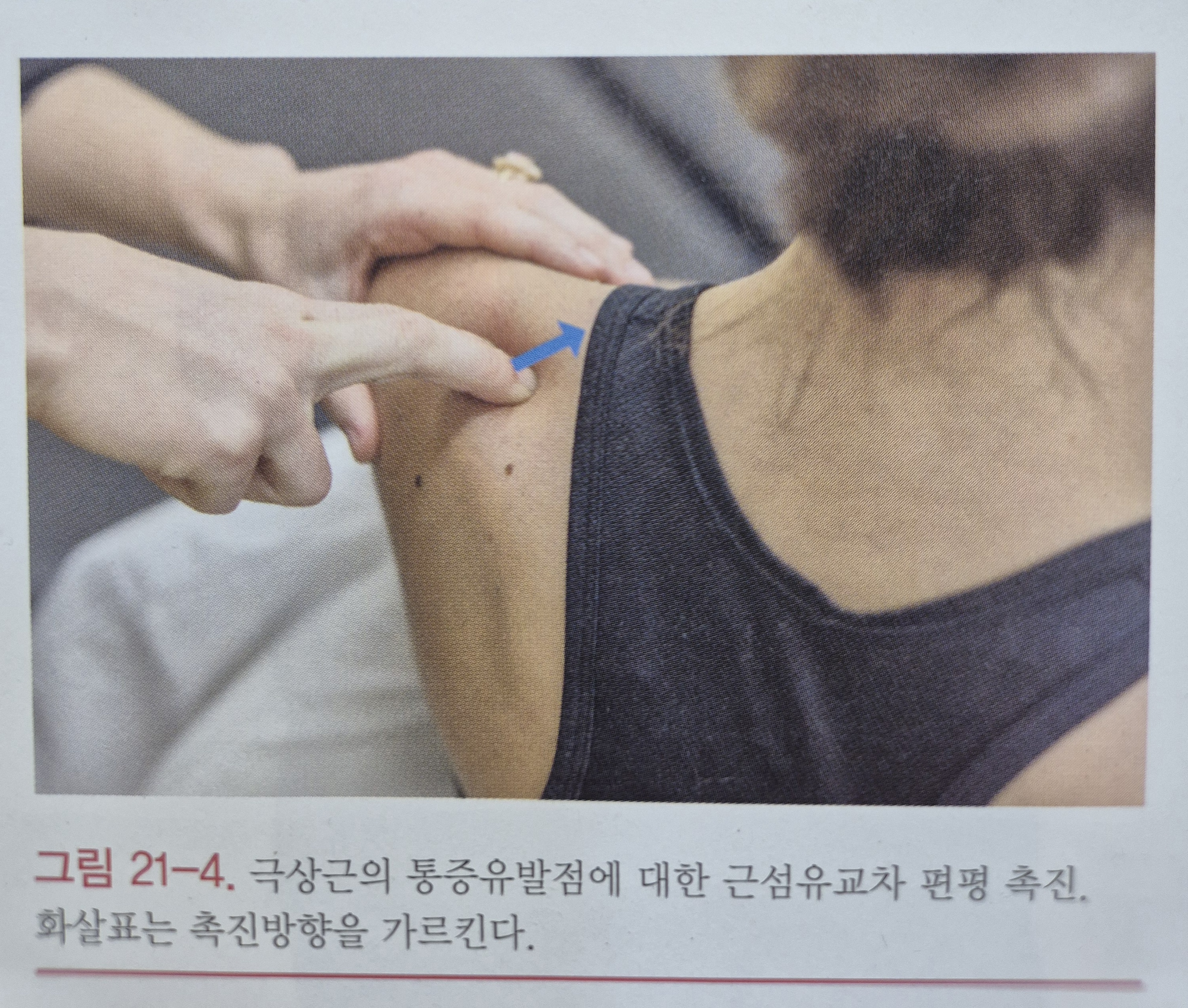 이수한의원 건강 칼럼 이미지