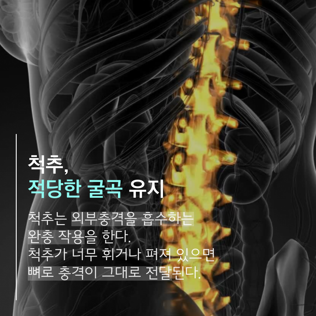 이수한의원 건강 칼럼 이미지