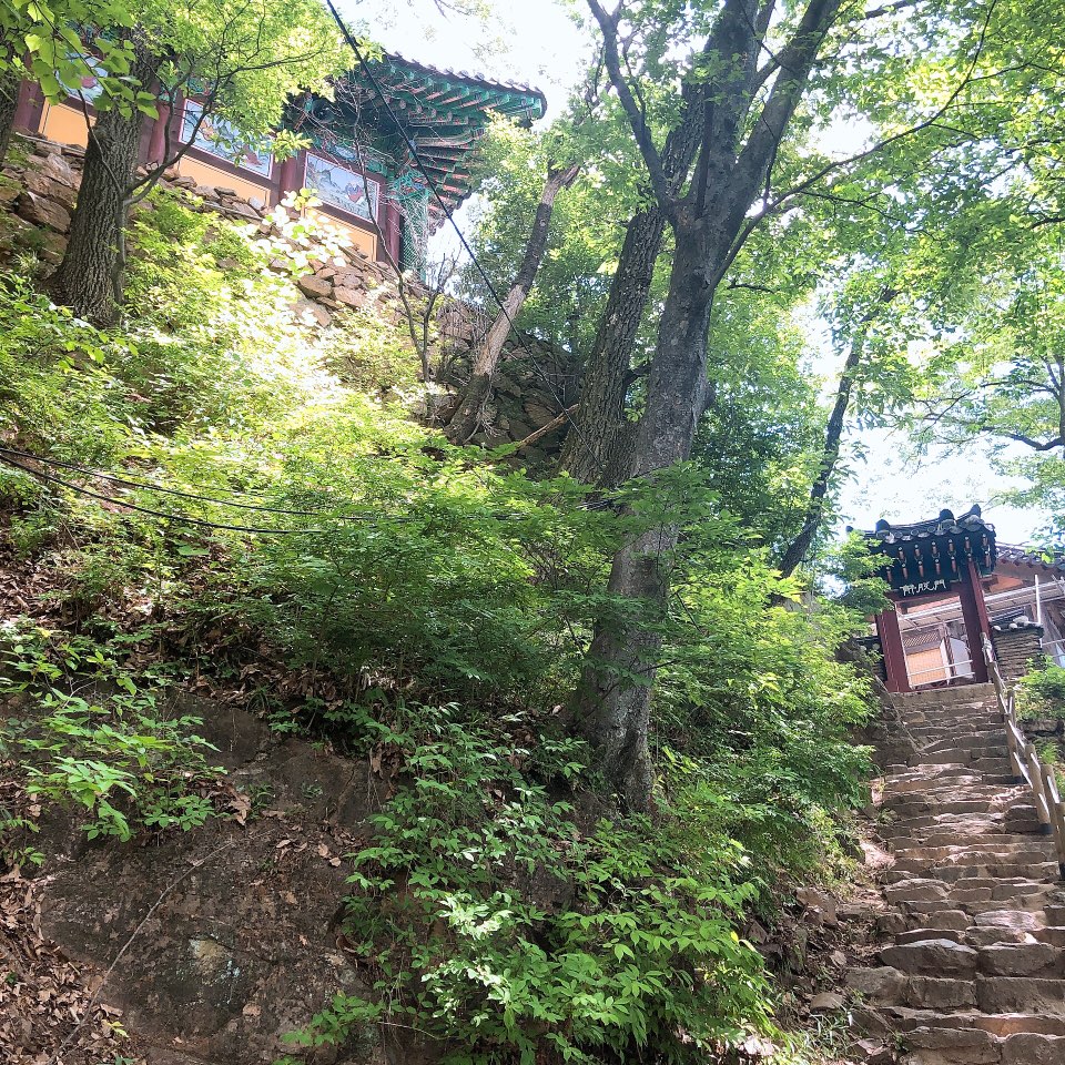 이수한의원 건강 칼럼 이미지