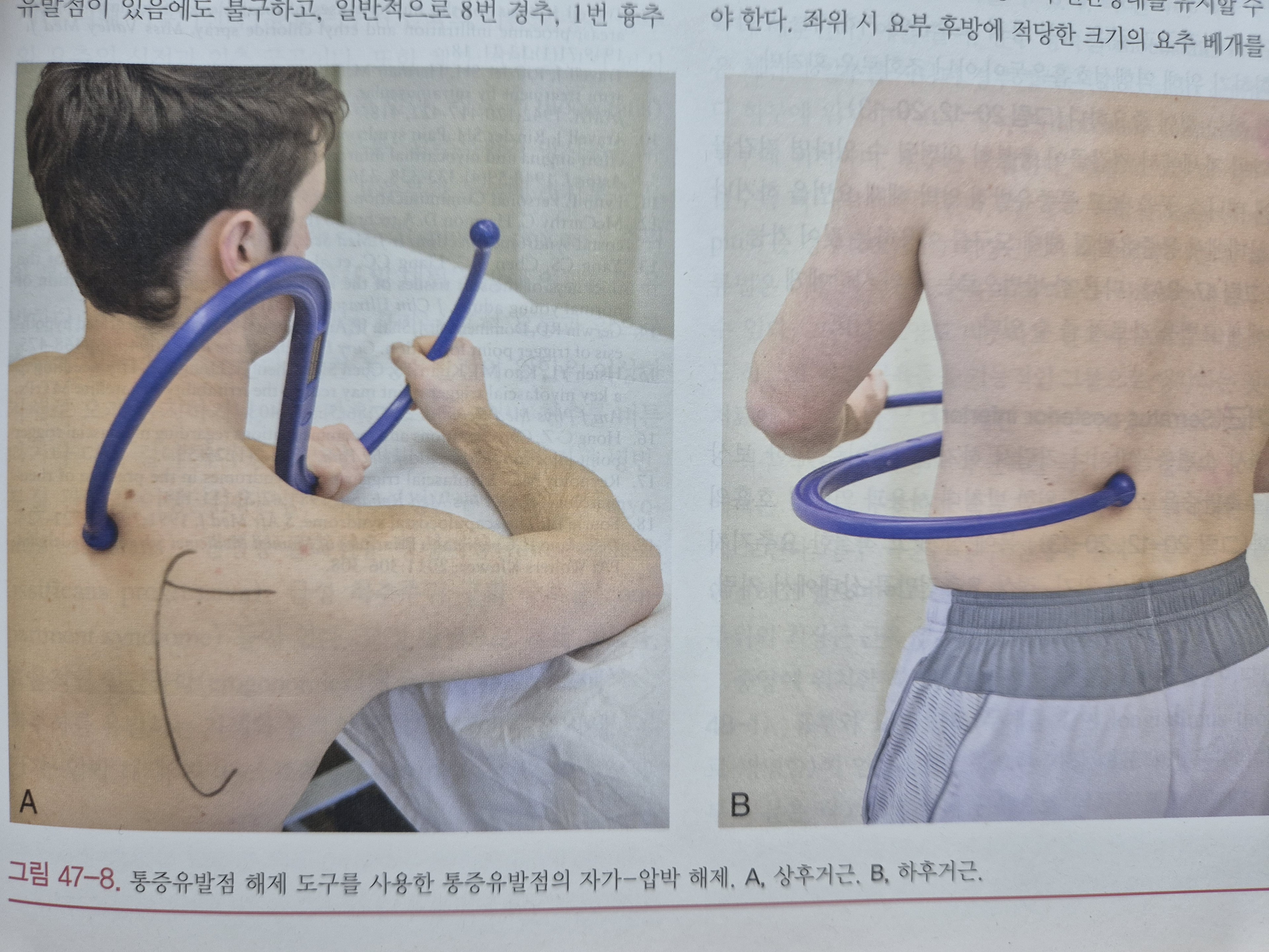 이수한의원 건강 칼럼 이미지