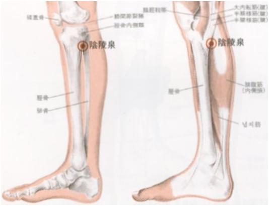 이수한의원 건강 칼럼 이미지