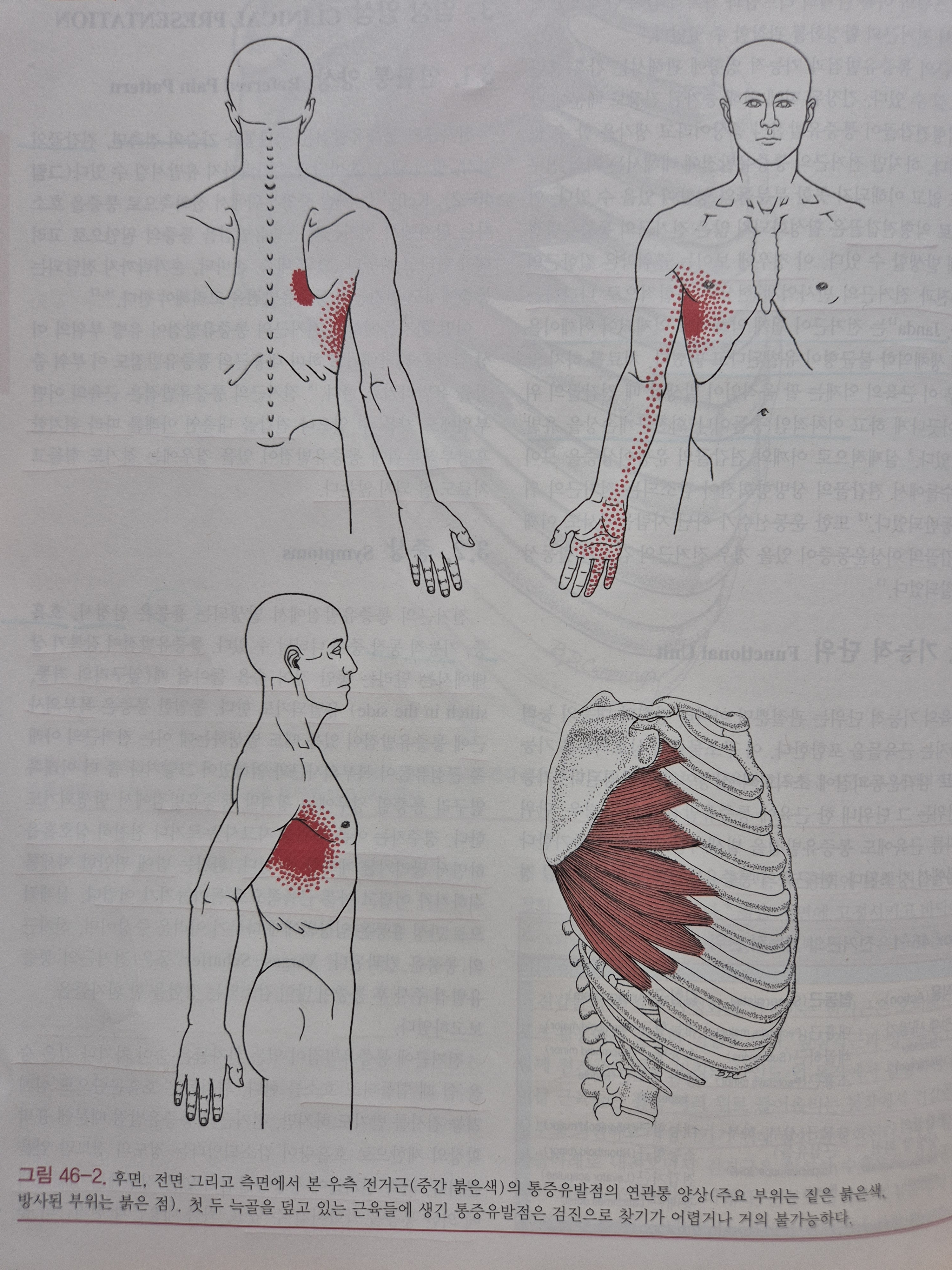 이수한의원 건강 칼럼 이미지