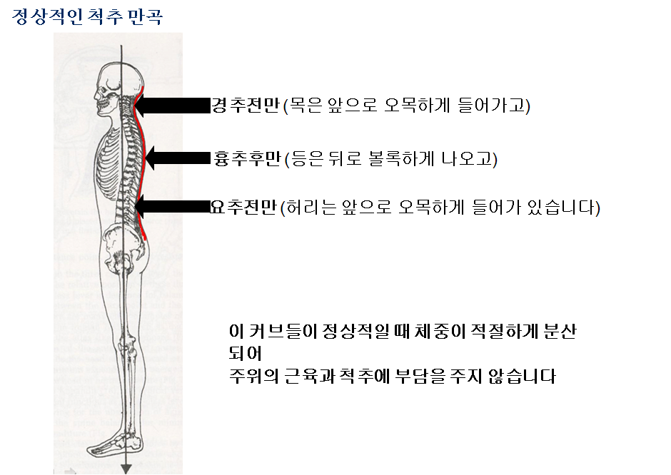이수한의원 건강 칼럼 이미지