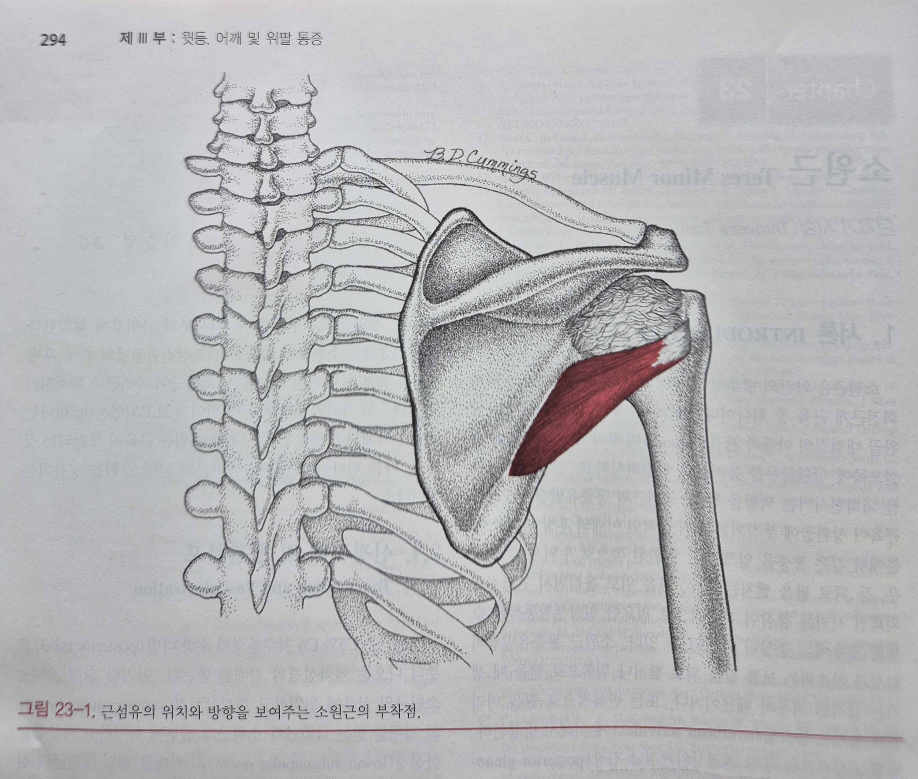 이수한의원 건강 칼럼 이미지