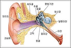 이수한의원 건강 칼럼 이미지