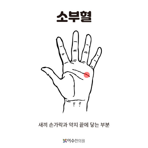 이수한의원 건강 칼럼 이미지