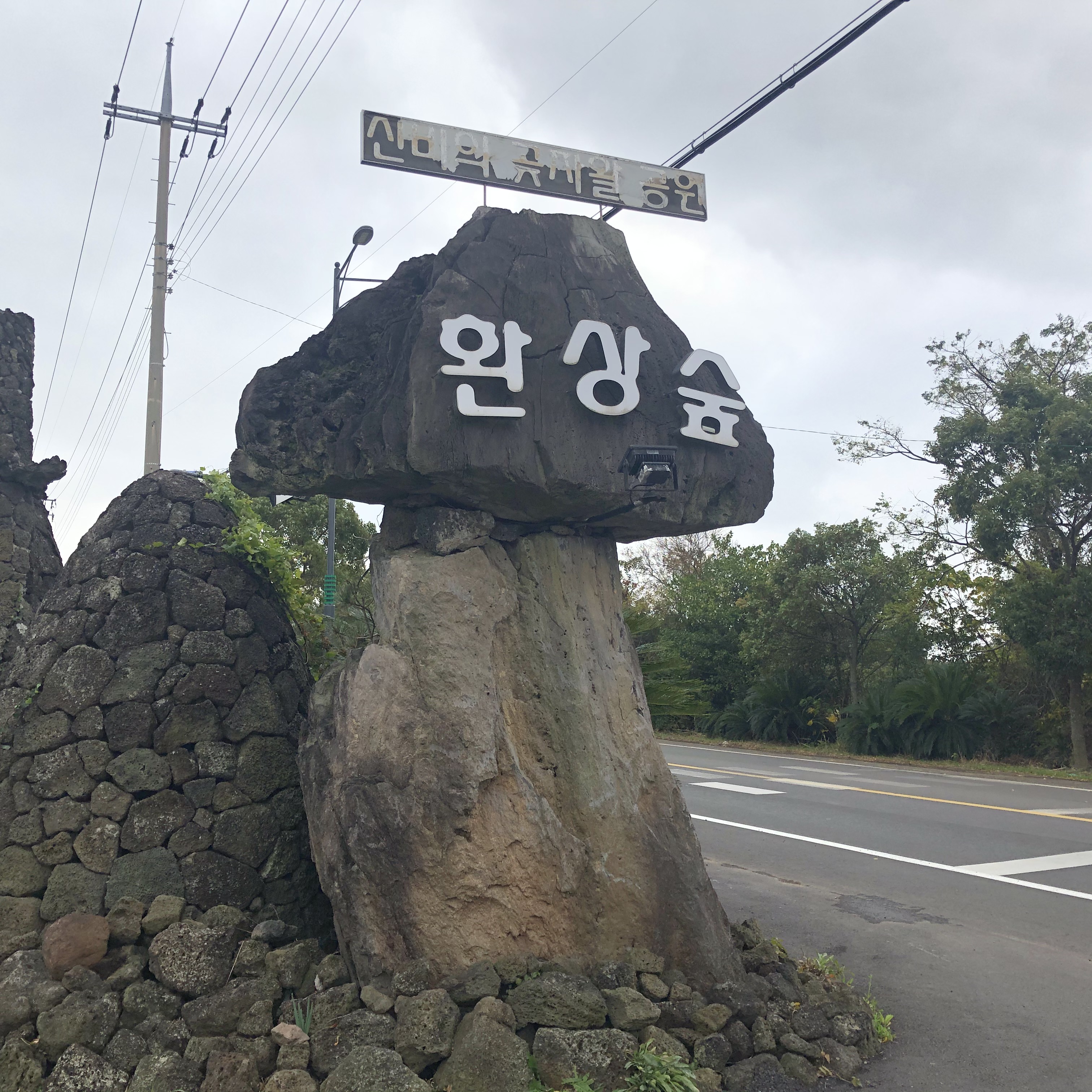 이수한의원 건강 칼럼 이미지
