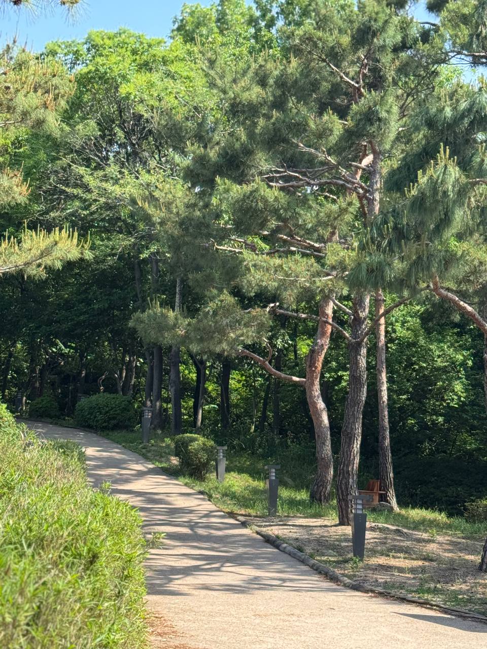 이수한의원 건강 칼럼 이미지