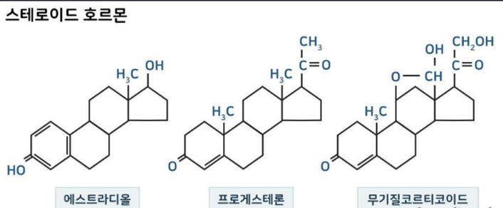 이수한의원 건강 칼럼 이미지