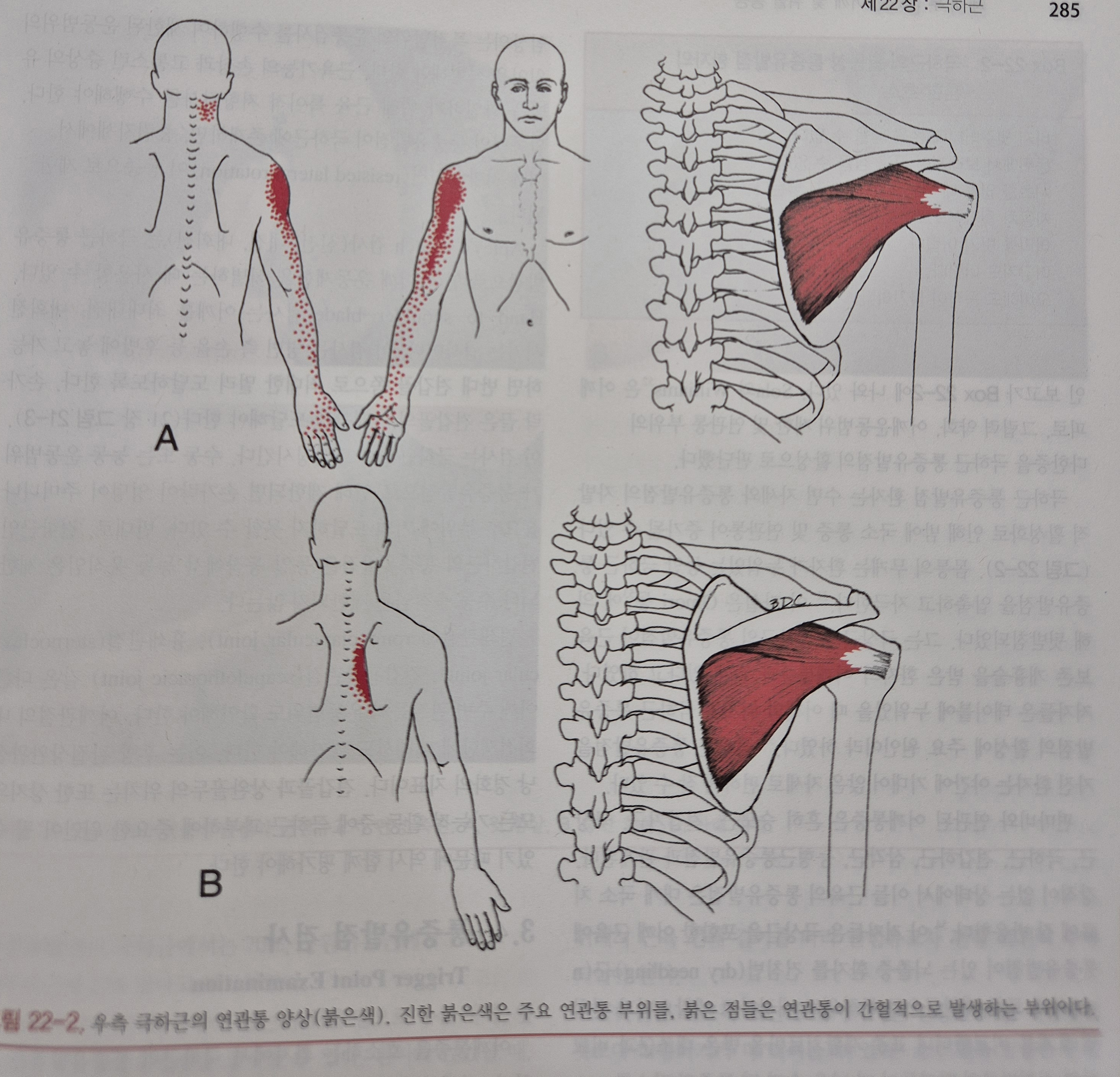이수한의원 건강 칼럼 이미지