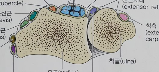 이수한의원 건강 칼럼 이미지