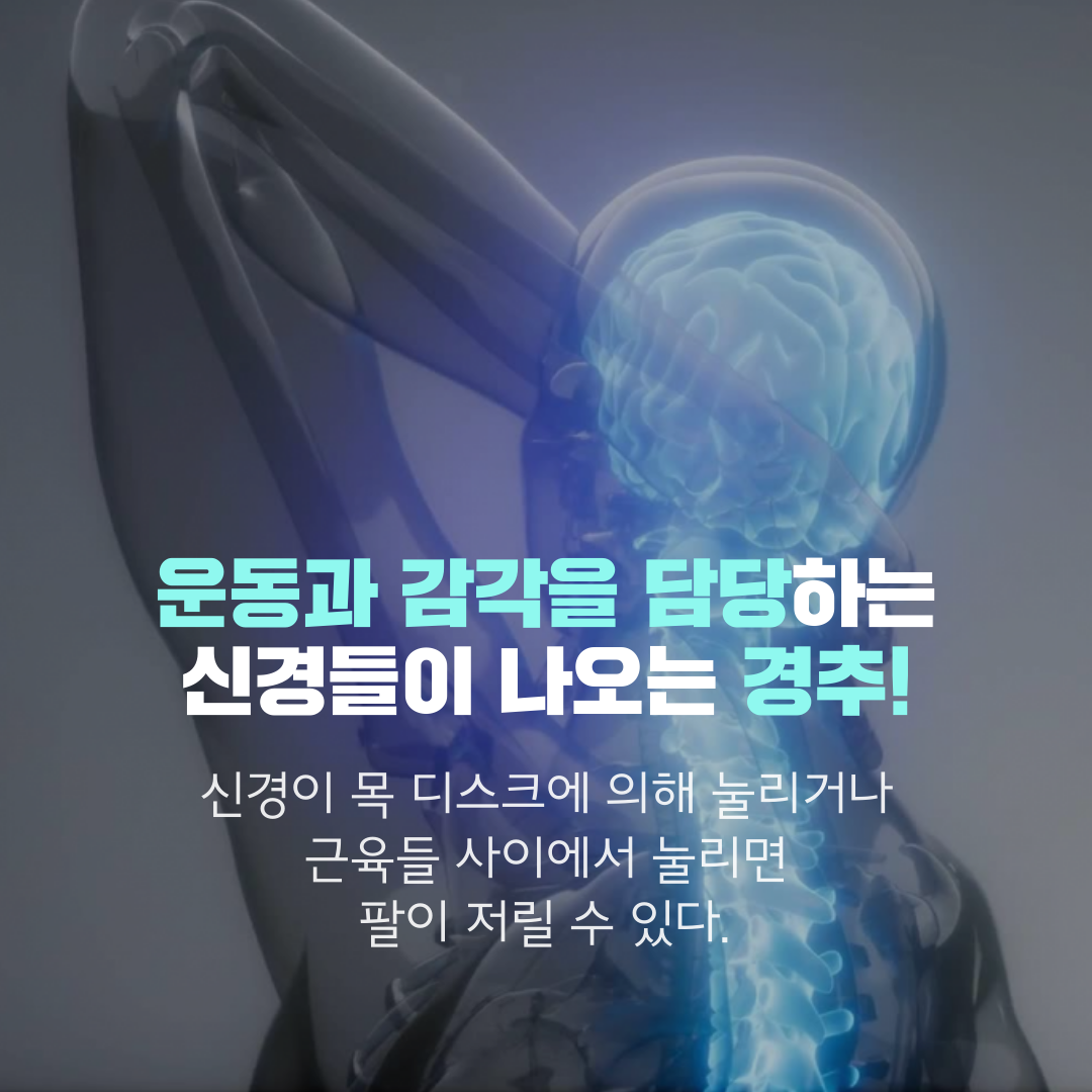 이수한의원 건강 칼럼 이미지