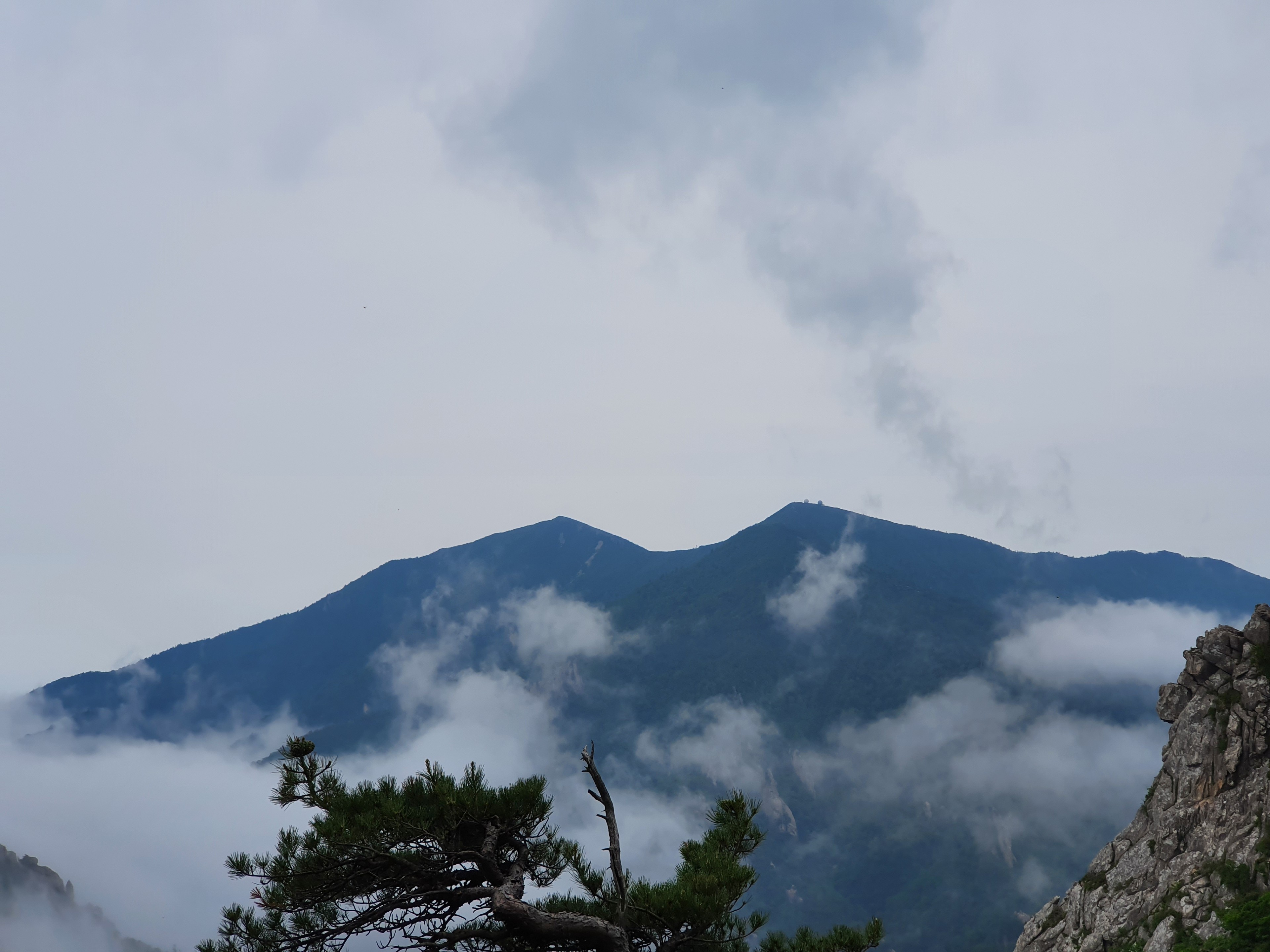 이수한의원 건강 칼럼 이미지