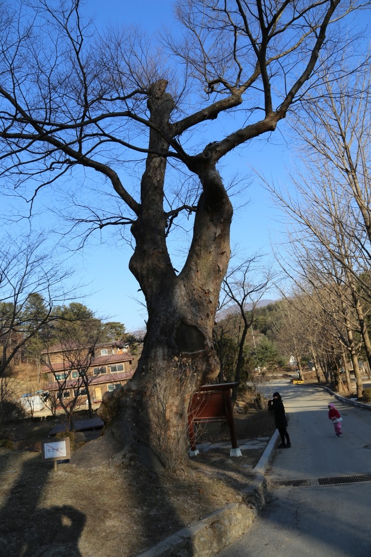 이수한의원 건강 칼럼 이미지