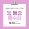 등 통증이 계속된다면? 남성역 한의원 이수한의원이 알려드리는 배수혈 이야기
