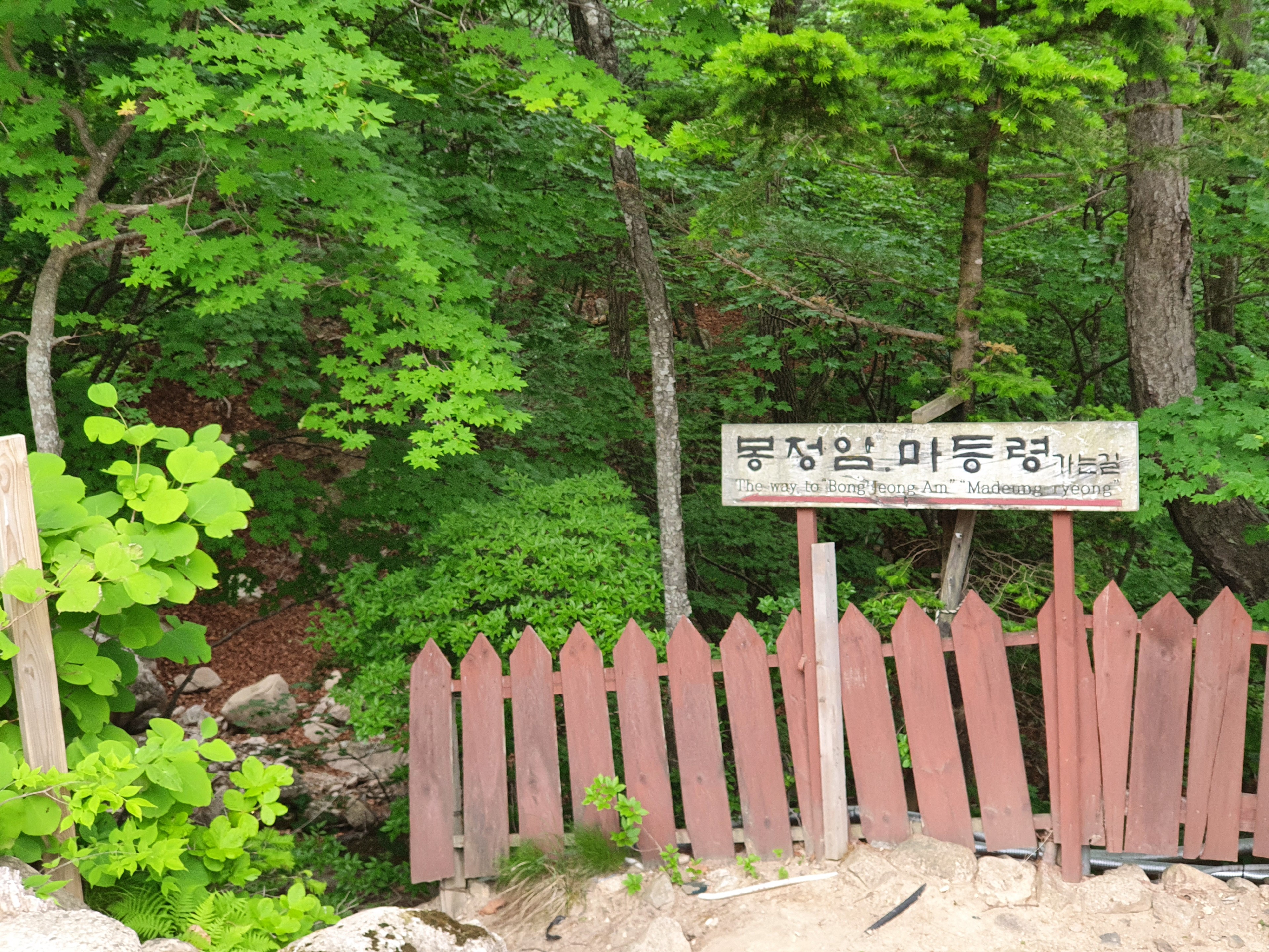 이수한의원 건강 칼럼 이미지