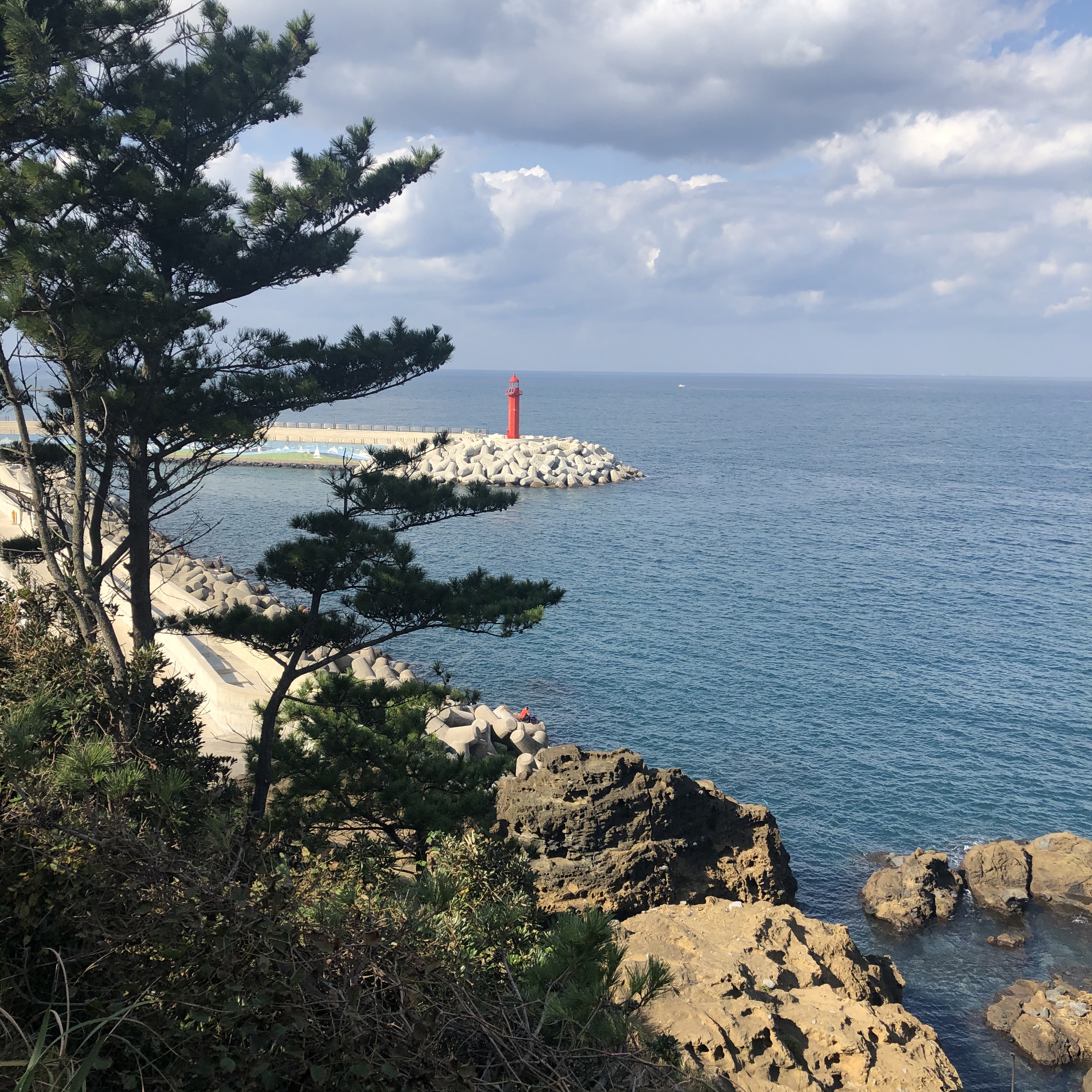 이수한의원 건강 칼럼 이미지