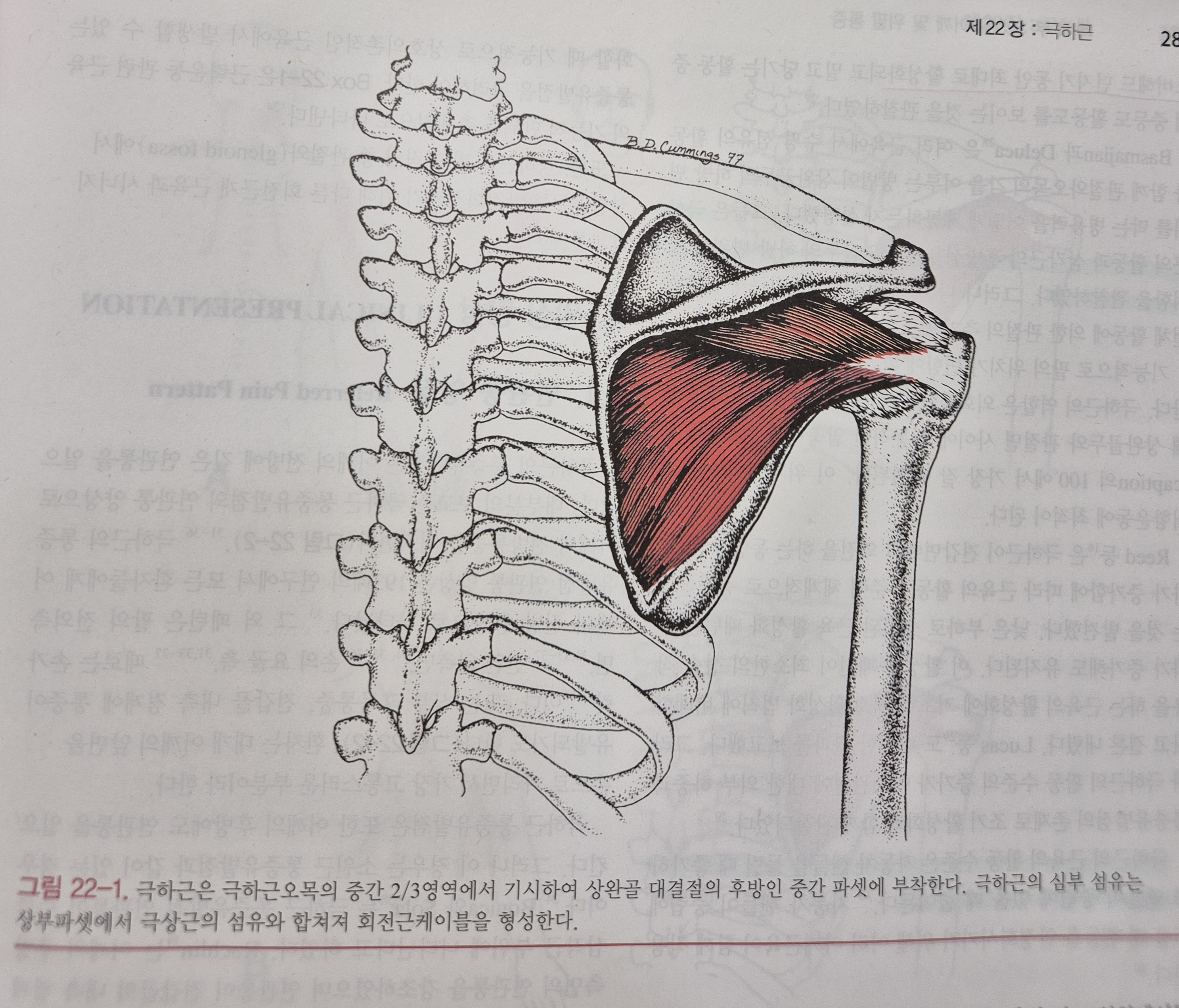 이수한의원 건강 칼럼 이미지