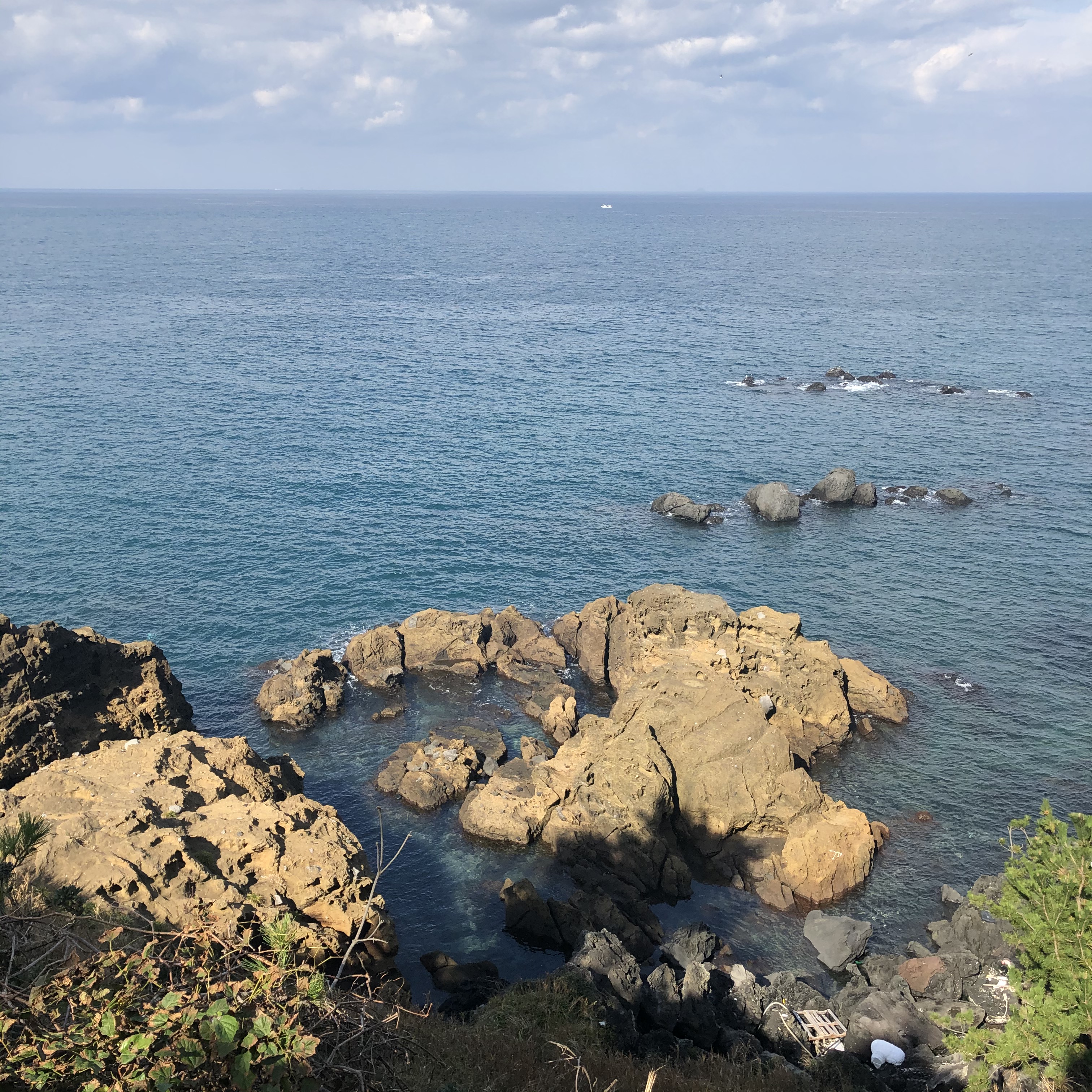이수한의원 건강 칼럼 이미지