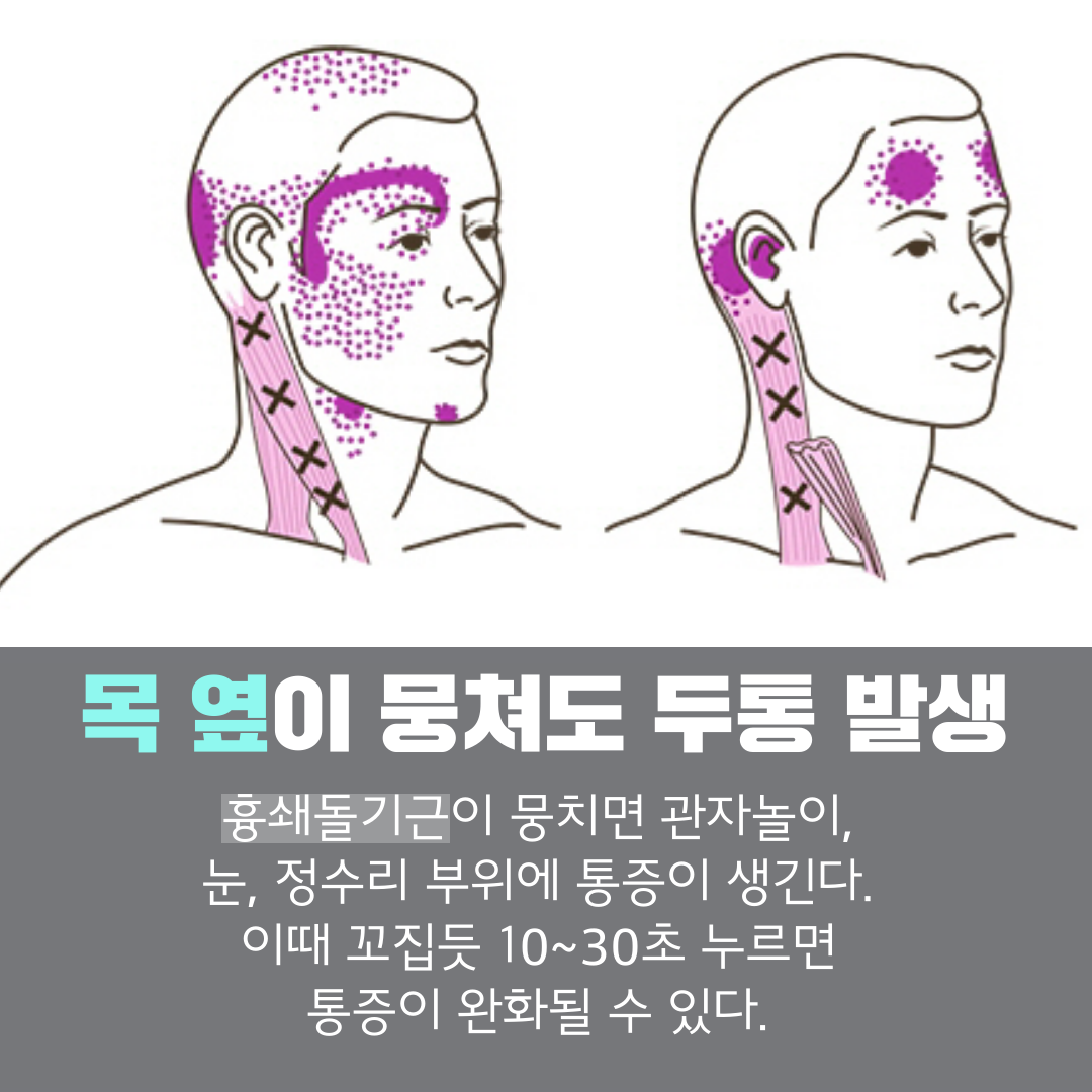 이수한의원 건강 칼럼 이미지