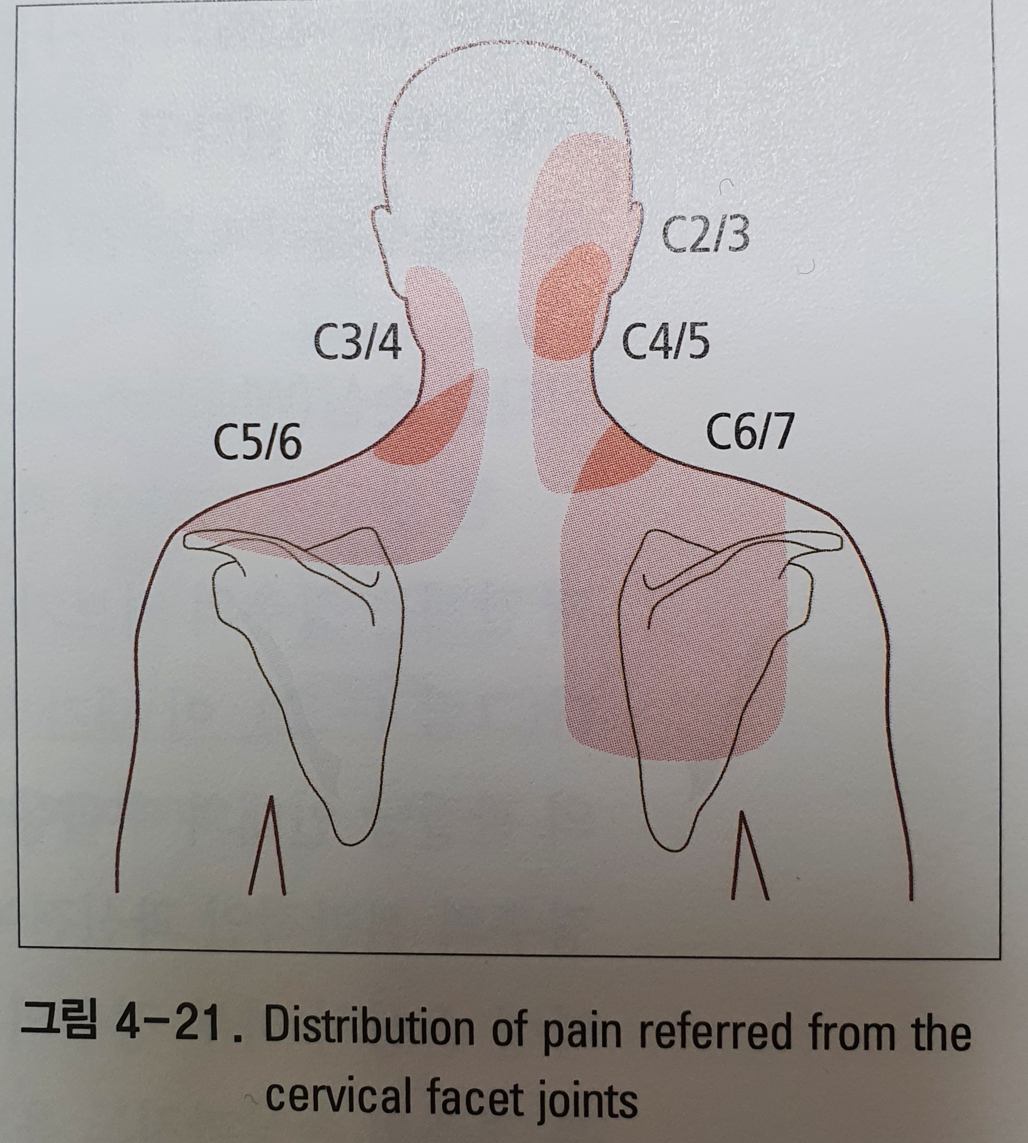 이수한의원 건강 칼럼 이미지