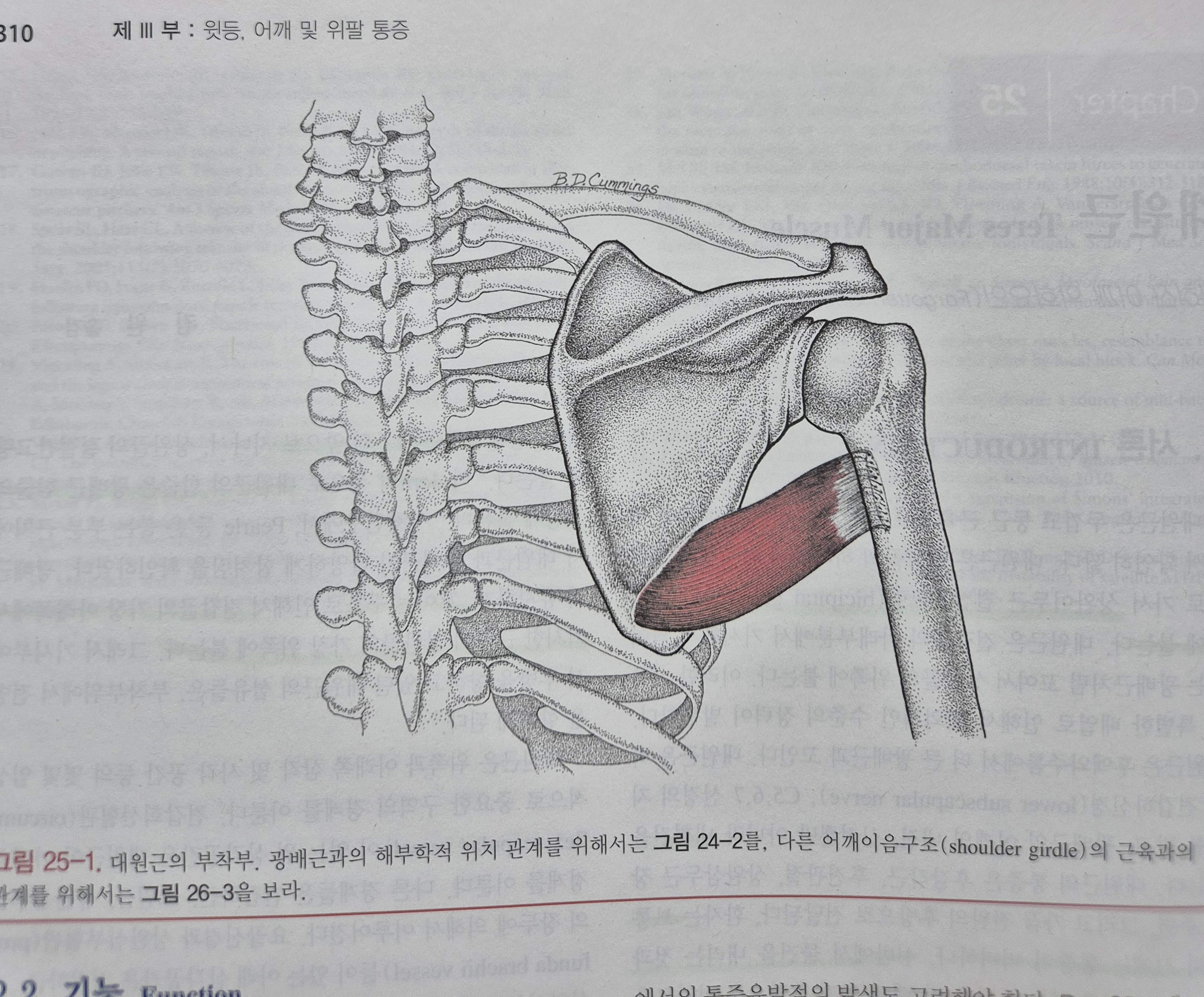 이수한의원 건강 칼럼 이미지