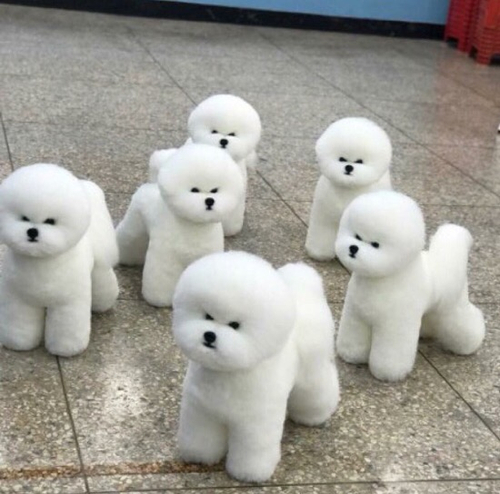 이수한의원 건강 칼럼 이미지