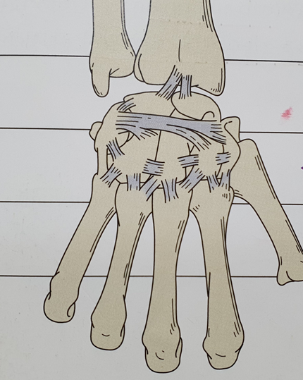 이수한의원 건강 칼럼 이미지