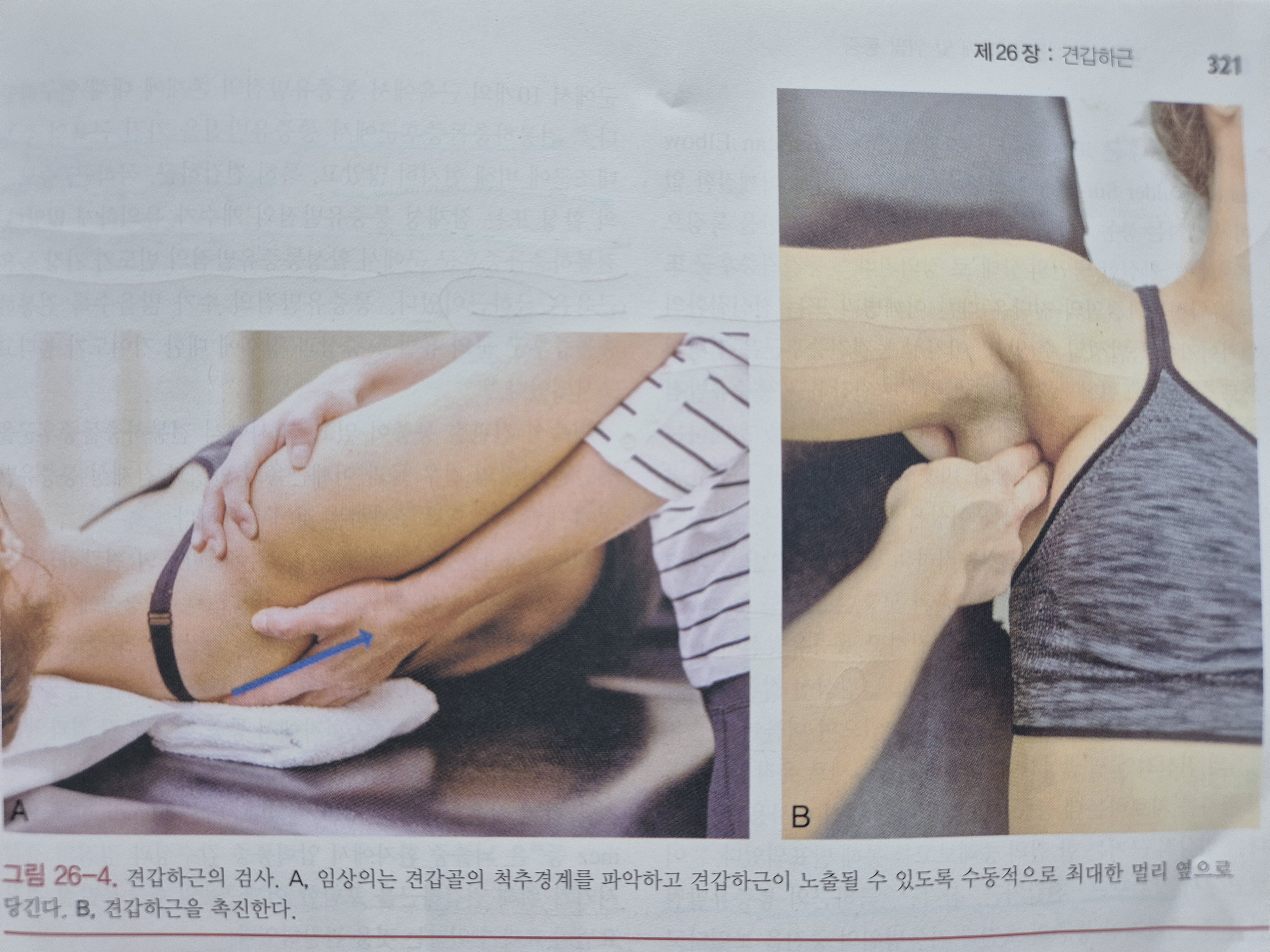 이수한의원 건강 칼럼 이미지
