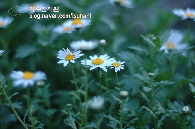 이수한의원 건강 칼럼 이미지