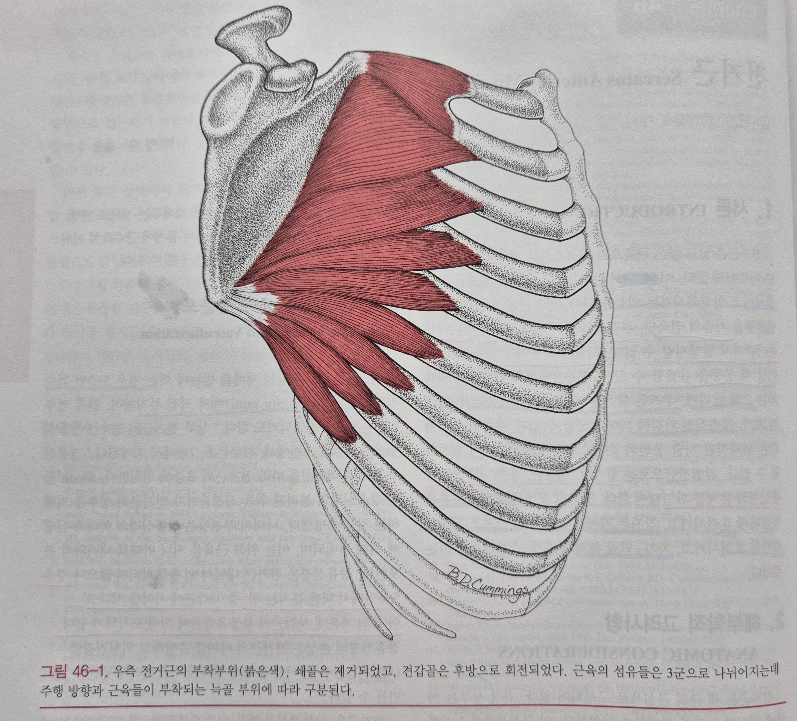 이수한의원 건강 칼럼 이미지