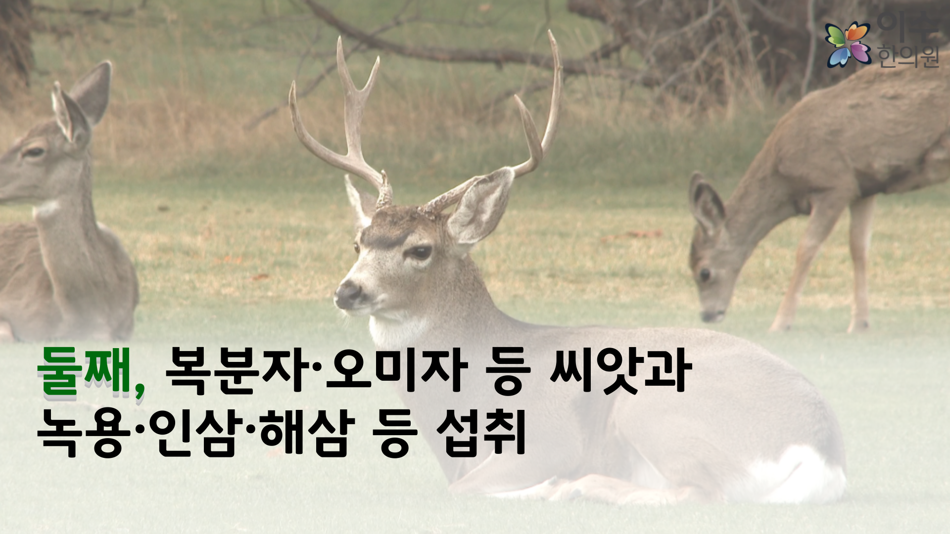 이수한의원 건강 칼럼 이미지