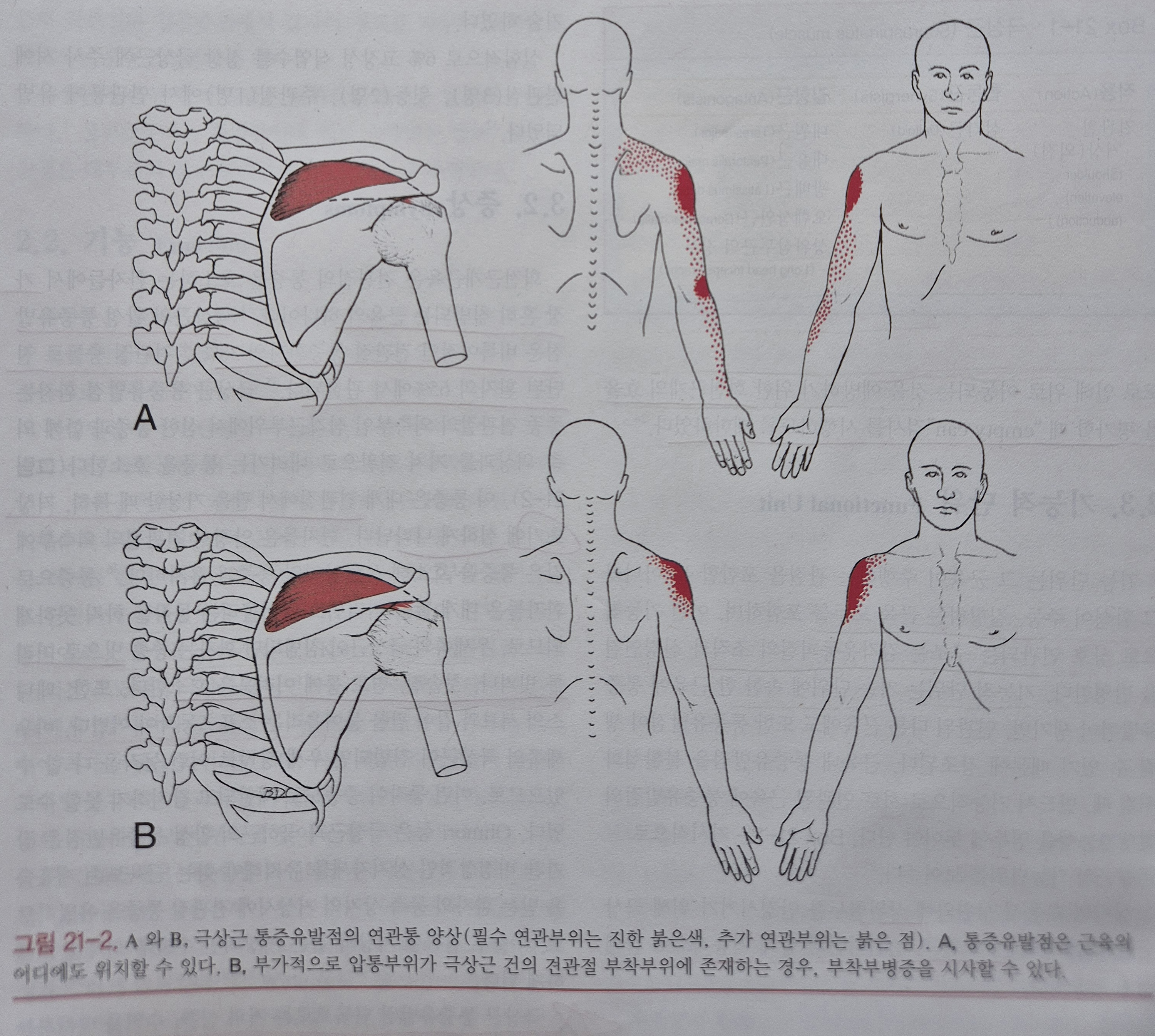 이수한의원 건강 칼럼 이미지