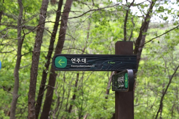 이수한의원 건강 칼럼 이미지
