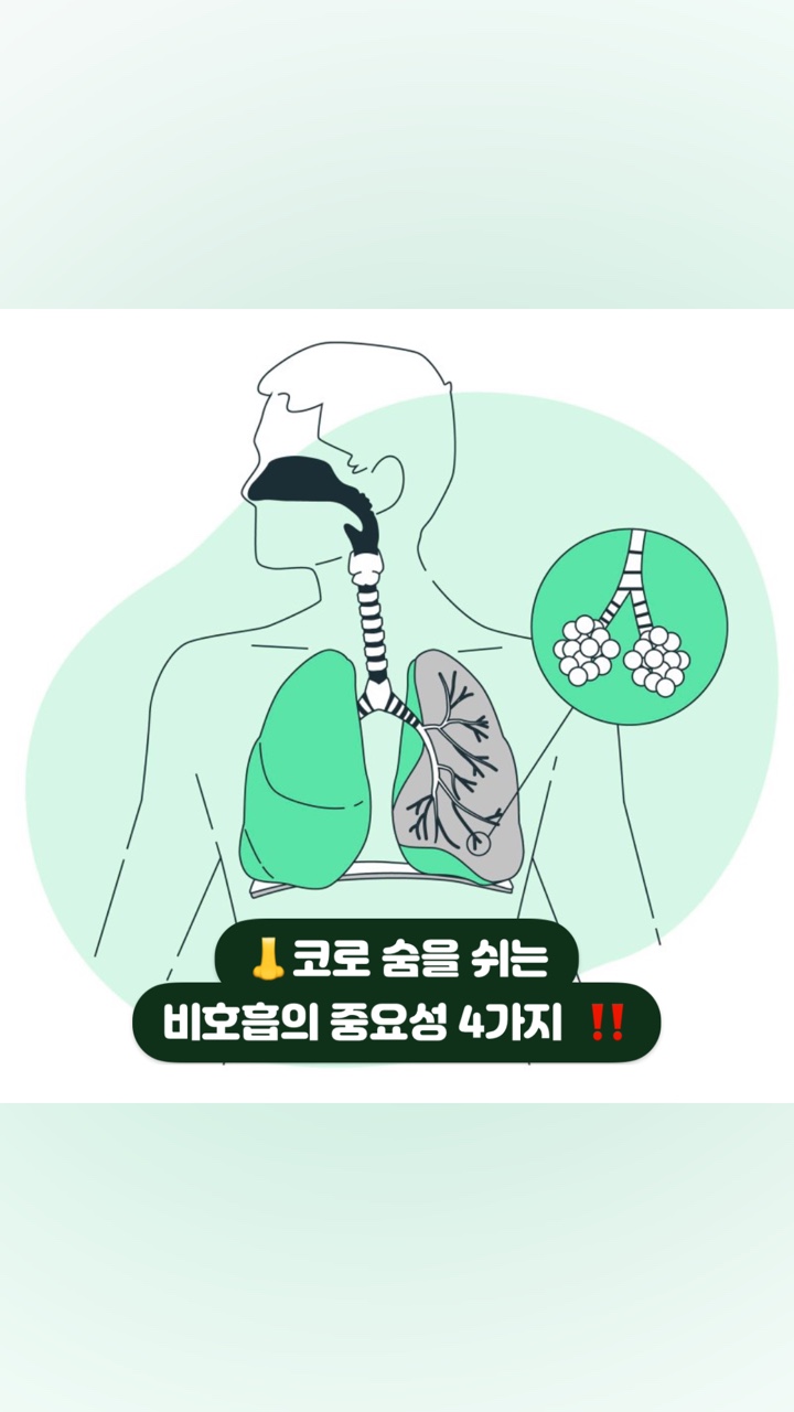 #이수한의원 #남성역한의원 #사당동한의원 #코호흡 #비호흡 #입호흡 #마황 #진피 #신이 #세신 #창이자 #폐장도인운동 #코로숨 #코로숨쉬기 #코호흡법