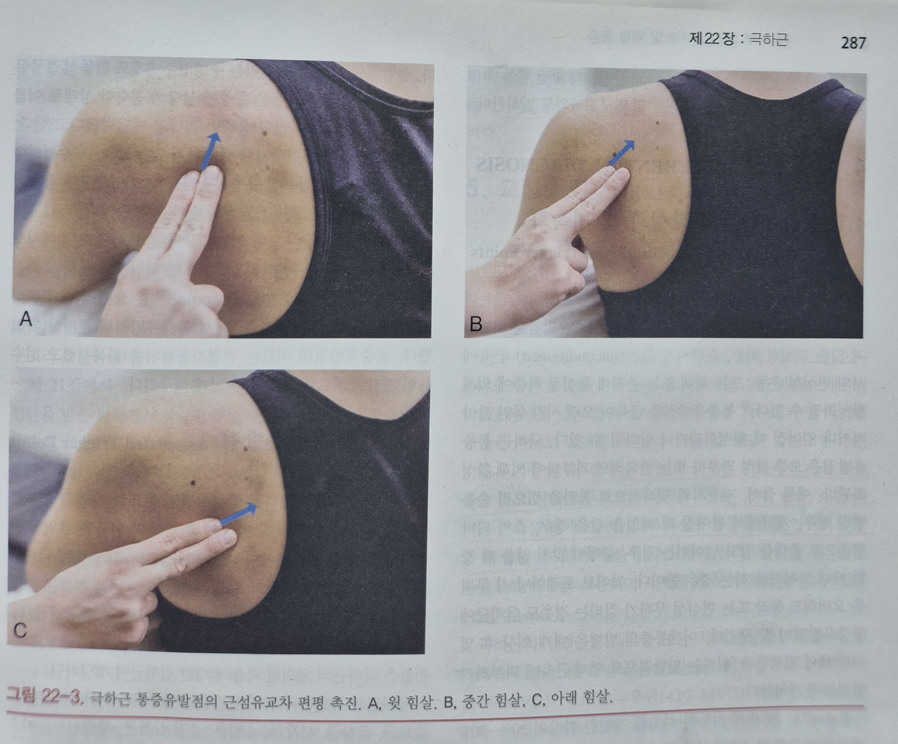 이수한의원 건강 칼럼 이미지