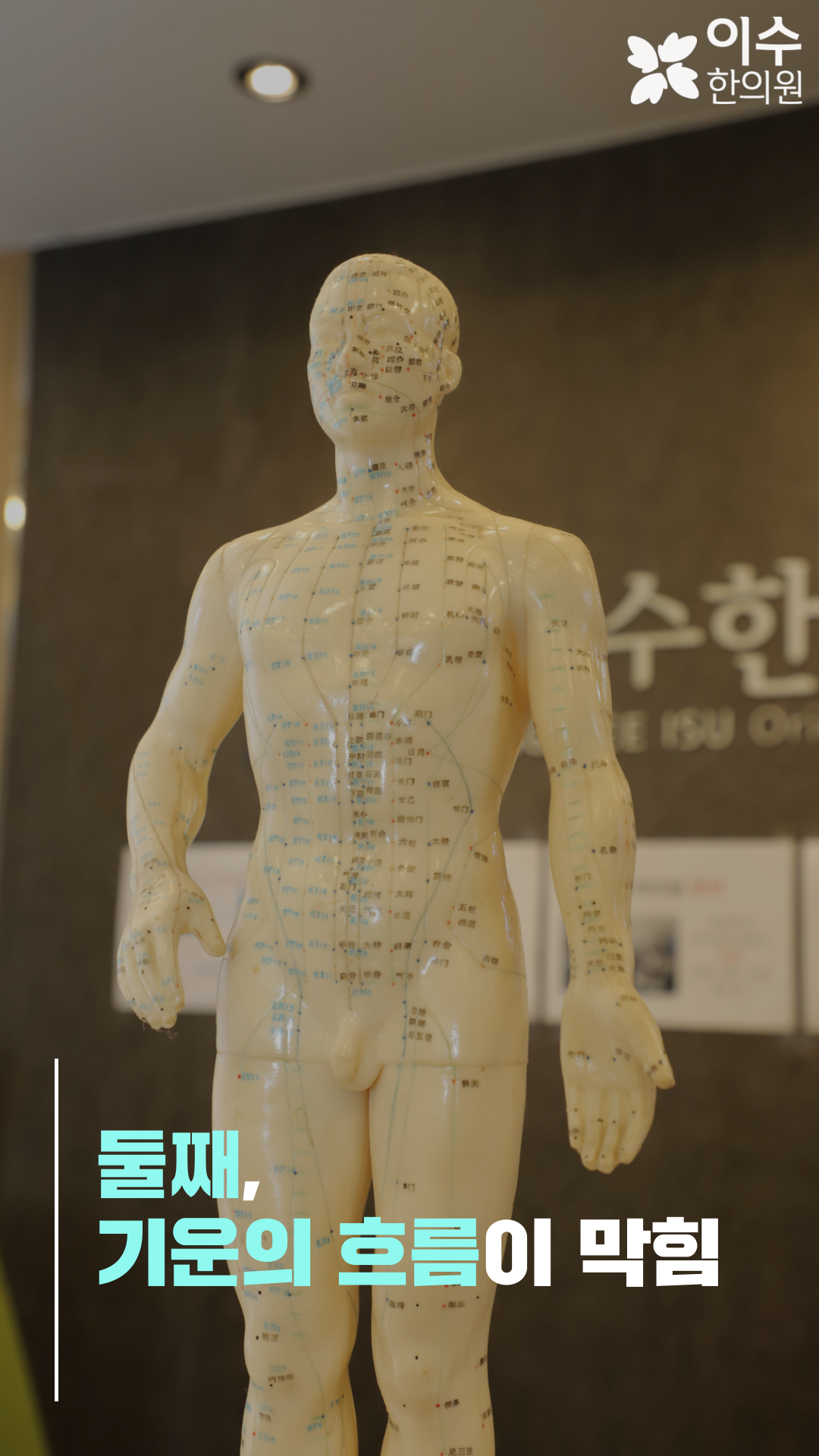 이수한의원 건강 칼럼 이미지