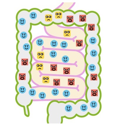 이수한의원 건강 칼럼 이미지