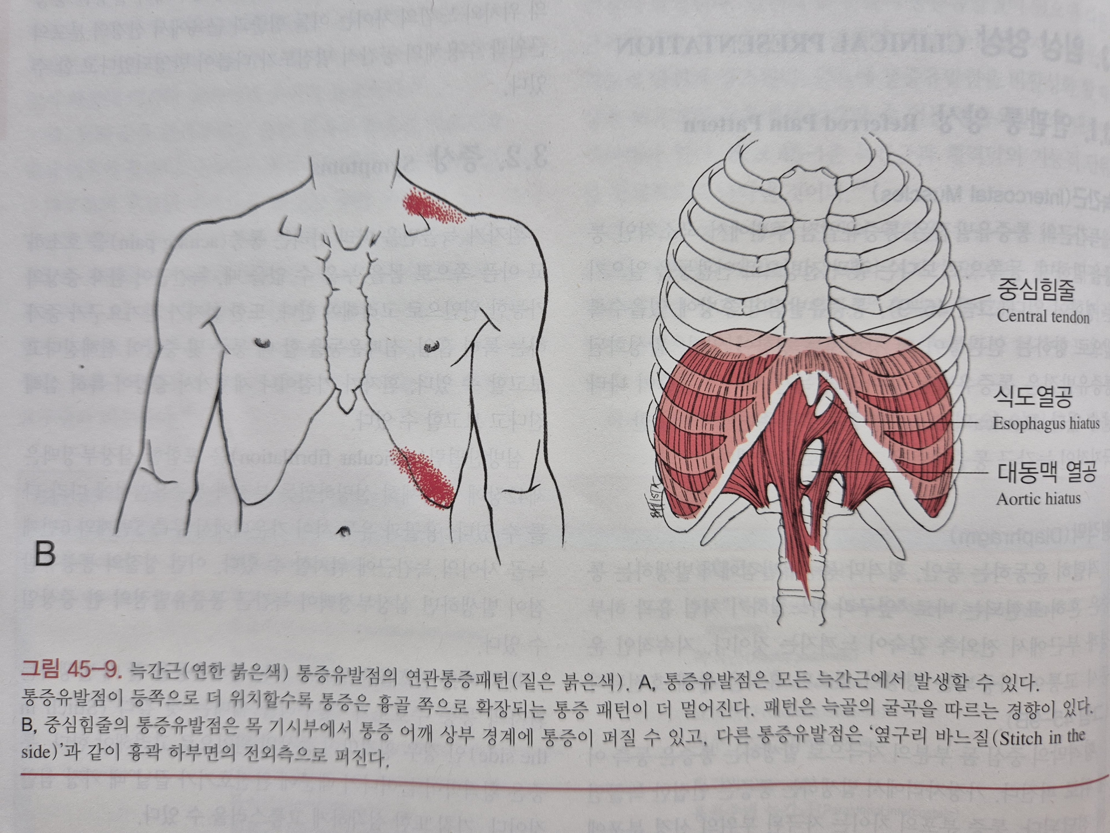 이수한의원 건강 칼럼 이미지