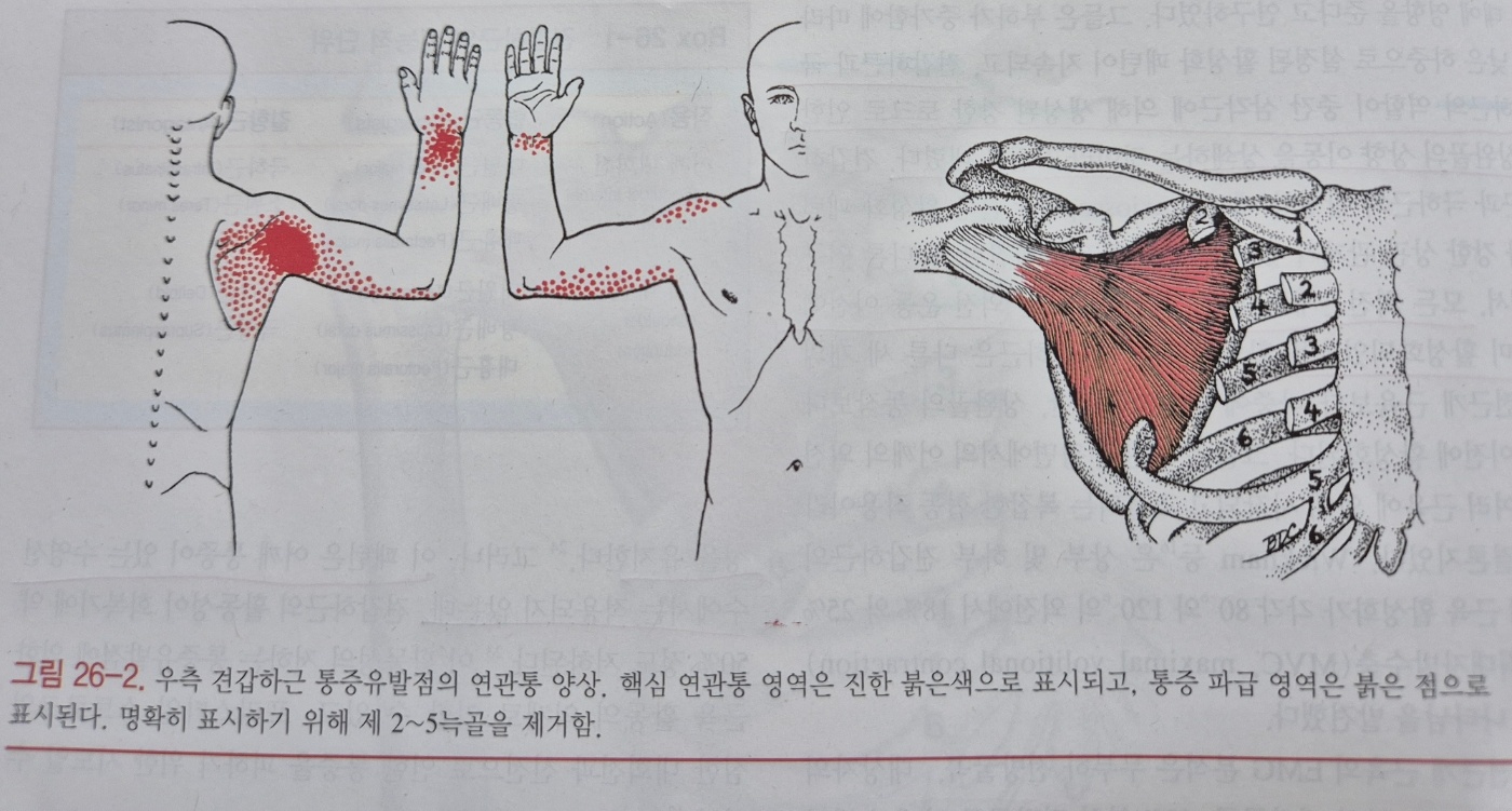 이수한의원 건강 칼럼 이미지
