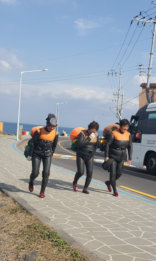 이수한의원 건강 칼럼 이미지